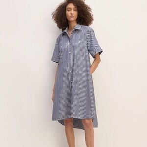Everlane Daytripper shirt dress